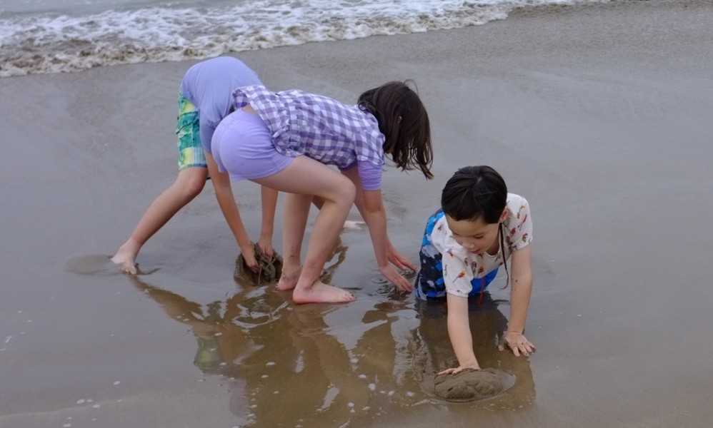 Beach, a Paradise for Kids
