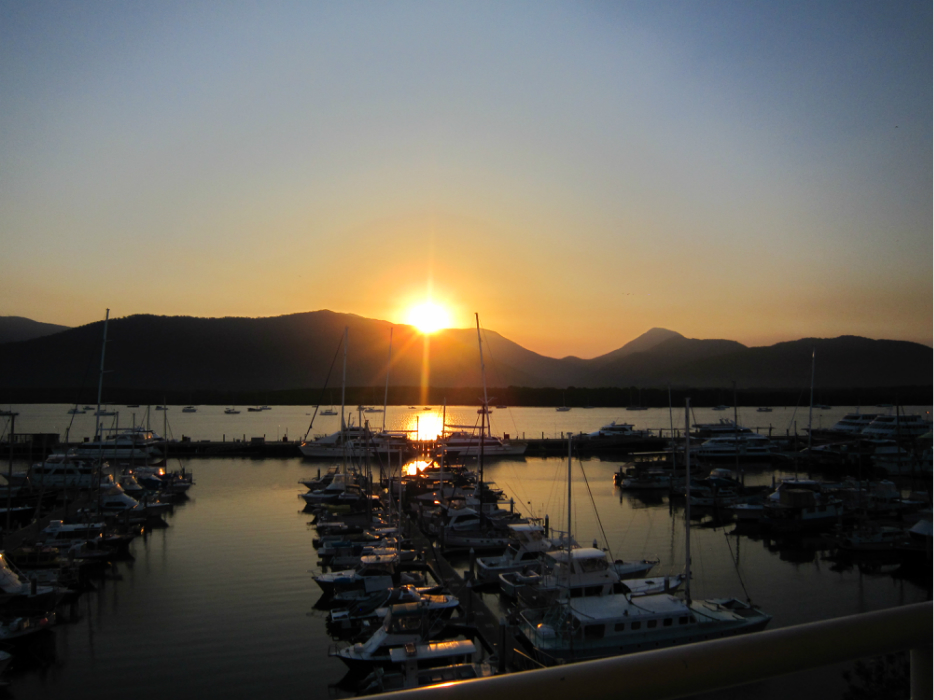 2023 Australia — Cairns: Tropical Rainforest, Koala Park, Butterfly Sanctuary