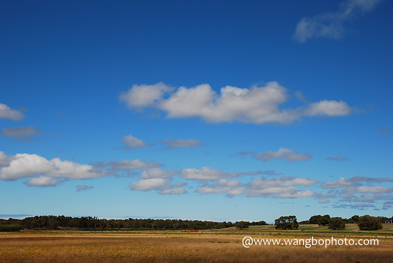 Western Australia Self-Drive Tour - Perth Southern Route -- Where Fish Leap in Vast Seas and Birds Soar in High Skies