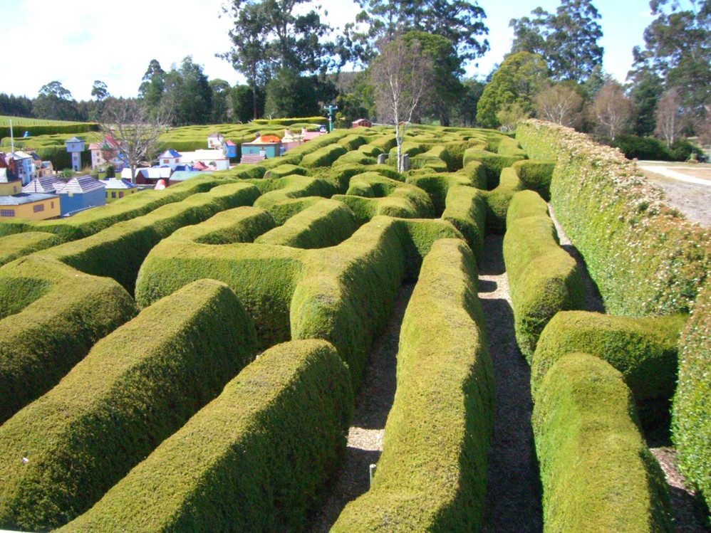 Tasmania - A Paradise Away from the Bustling World