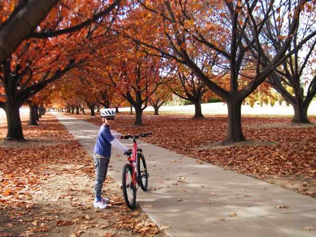 Australia, Canberra, Cycling Tour. The City with the Best Bike Paths in Australia.