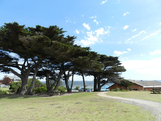 Great Ocean Road Continued