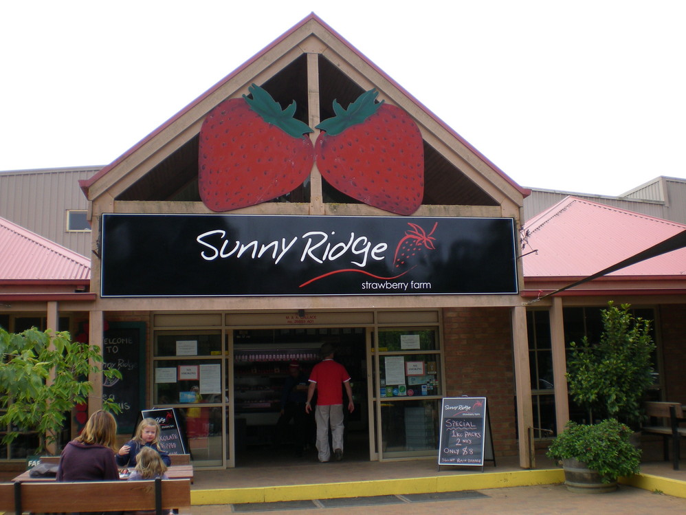 Strawberry Farm & Surroundings Day Trip