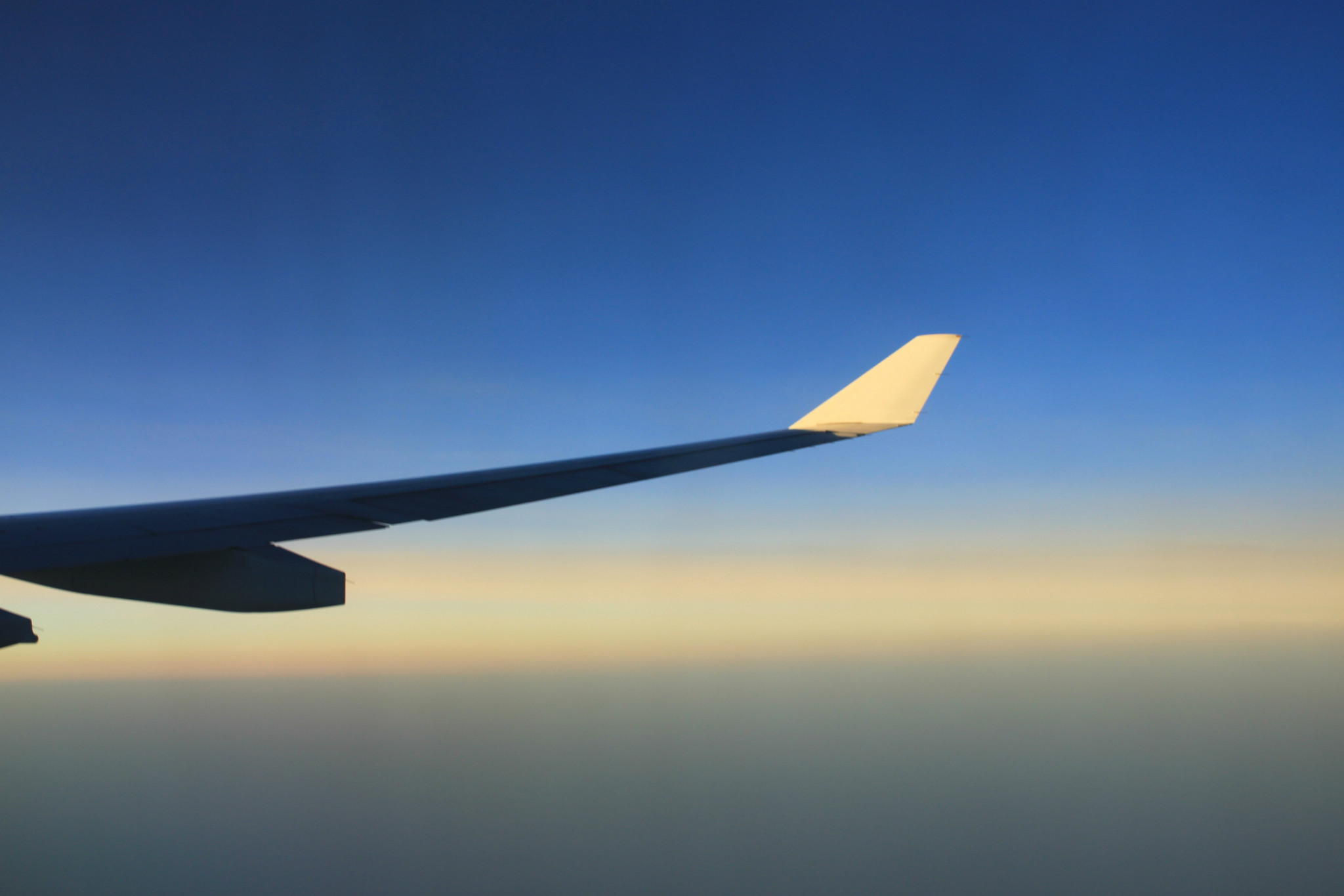 Roaming the East Coast: Brisbane