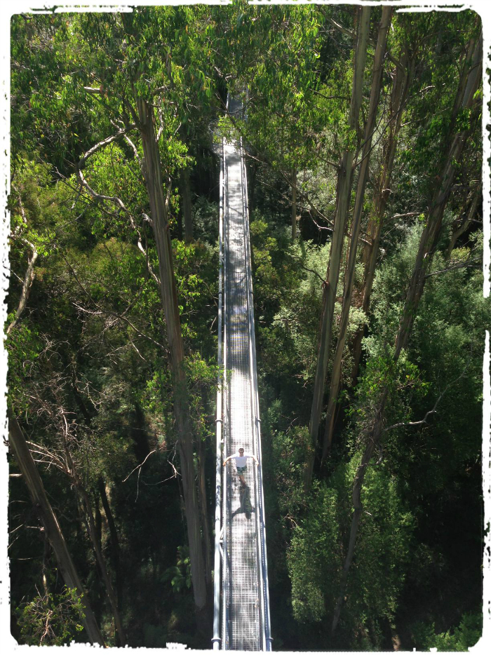 [Great Ocean Road] Beauty Beyond the Twelve Apostles
